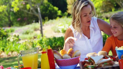 mother and son interacting with each other while having meal in park 4k