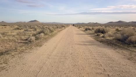 a lonely person stands all alone on a deserted road in the desert