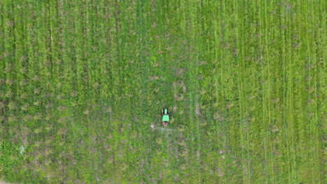 Tractor spraying fertilizer on a field from an aerial view
