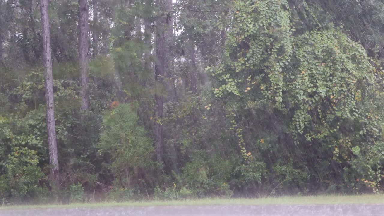 An outdoor footage of a downpour
