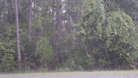 an outdoor footage of a downpour