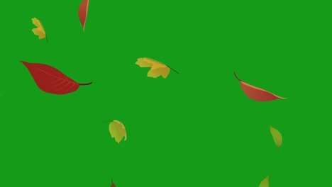 falling leaves motion graphics with green screen background