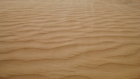 desert sand texture