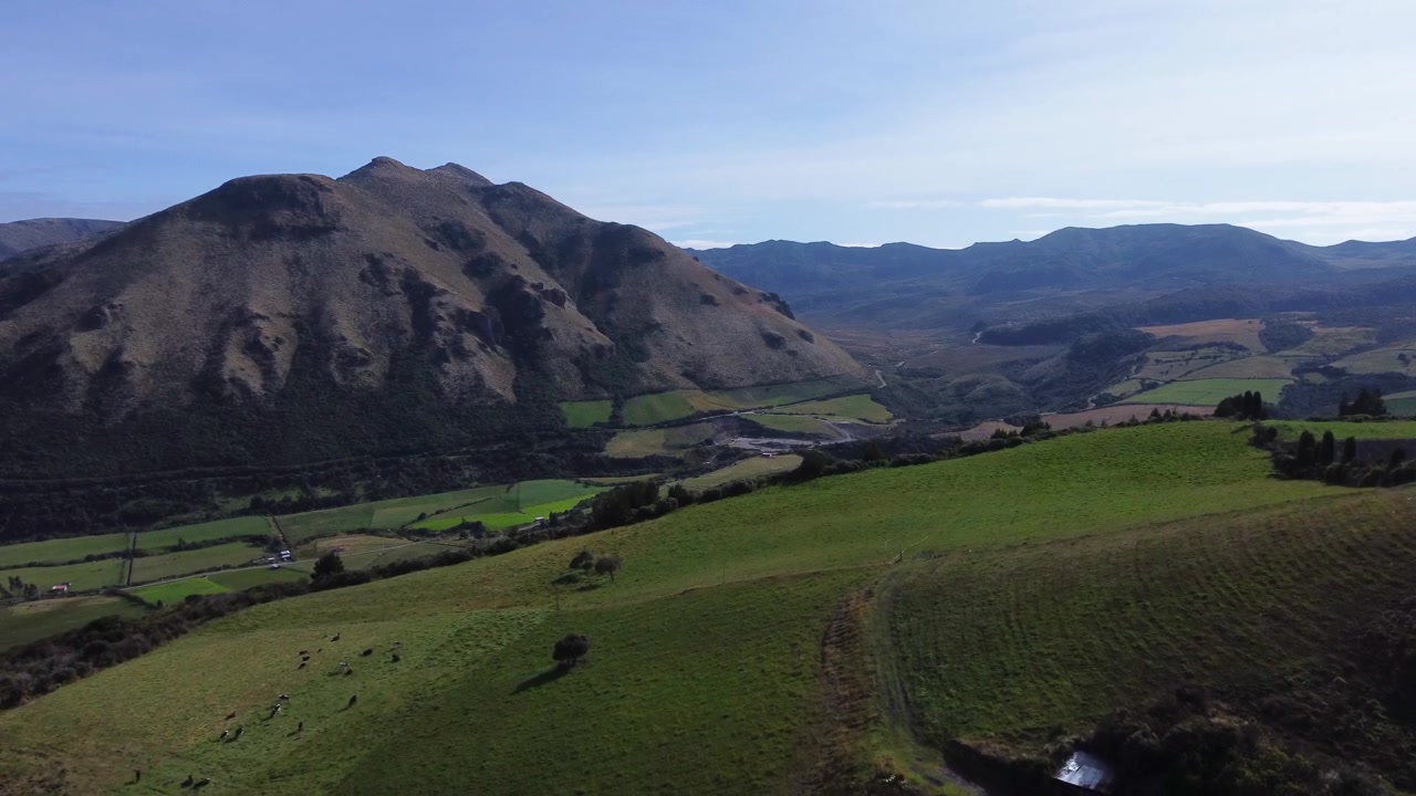 Vista aerea con drone di bestiame al pascolo su pascoli verdi sotto una grande montagna andina erosa in Ecuador, con appezzamenti agricoli che si estendono sul fondovalle