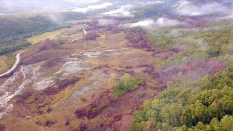 aerial flight over green and red forest following road in tasmania in australia, extreme wide distance shot moving forward and tilt down