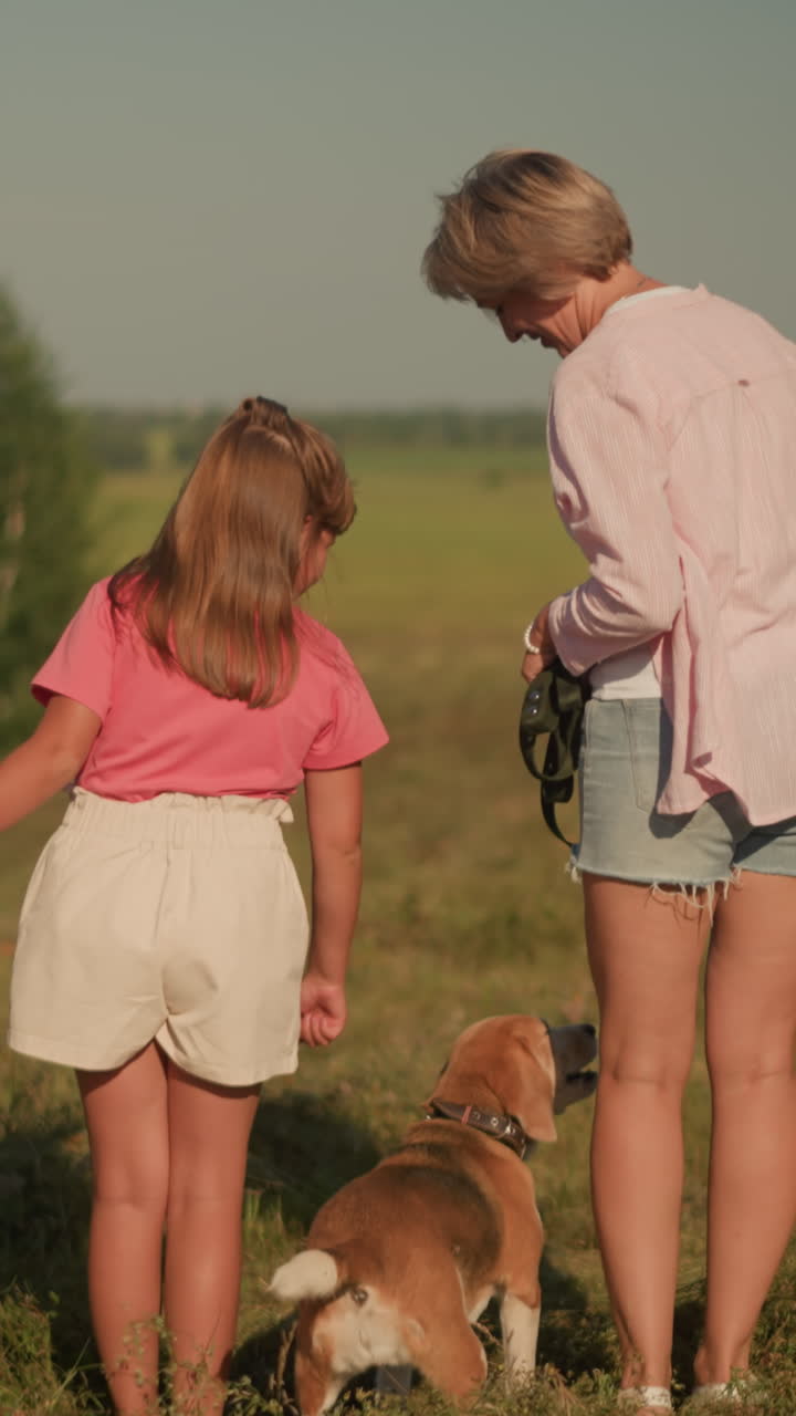 작은 소녀는 그녀의 이모가 개에게 먹이를 주면서 개의 머리를 만지고, 그녀의 어머니는 빛 하늘 아래 광활한 초록색 에서 그녀의 머리카락을 조정합니다.