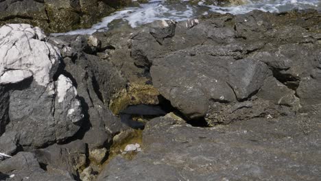 Black-plastic-bag-in-the-sea-water-polluting-the-environment