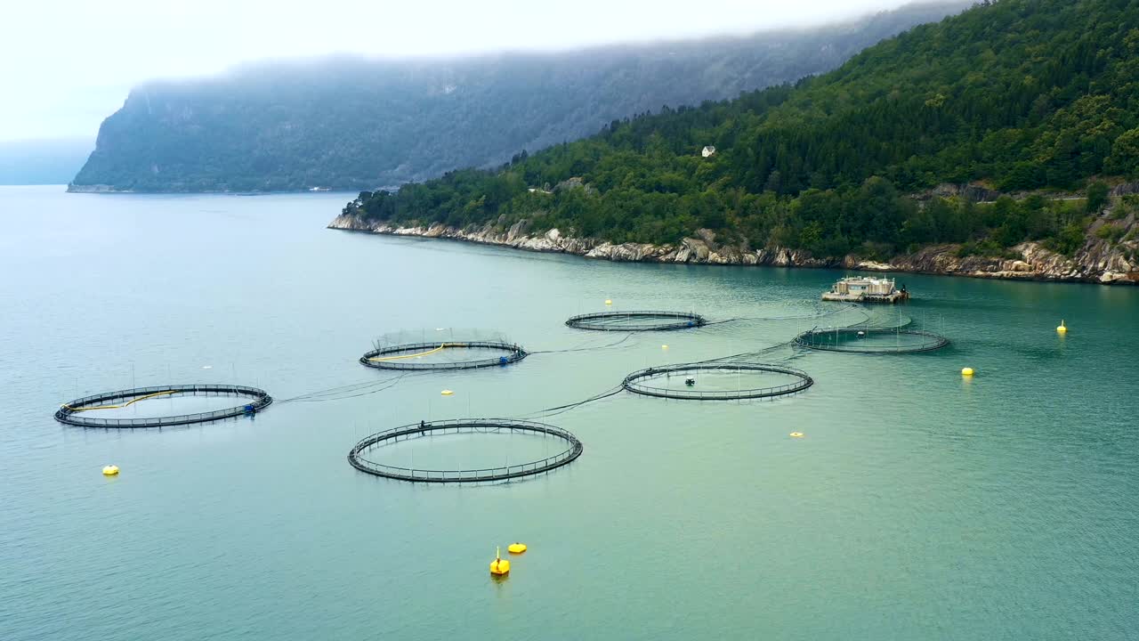 воздушные кадры рыболовства лосося на ферме в норвегии