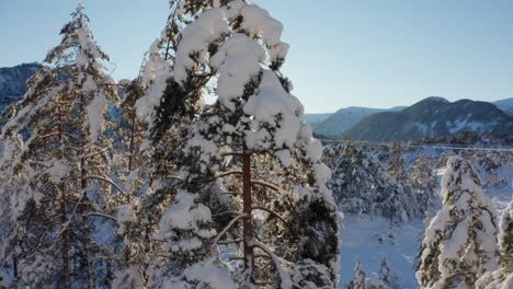 Märchenland-Sonne-Schmelzende-Dezembersaison-Schnee-Hardangervidda-Vestland-Norwegen