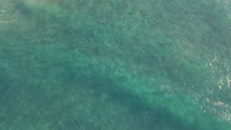 Aerial-View-Of-Ocean-Waves-Rolling-And-Splashing-On-Coastal-Cliffs---Cylinder-Beach-In-Point-Lookout,-Queensland,-Australia