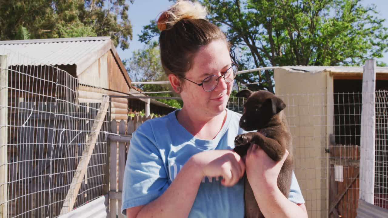 perro en un refugio con un voluntario