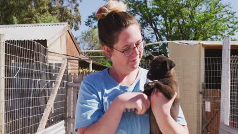 dog in a shelter with volunteer