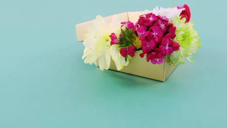 gift box full of flower against turquoise background