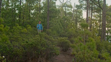 male hiker walking in forest