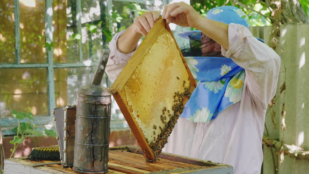 Un apicoltore anziano che lavora in un apiario vicino all'alveare. Video 4K.