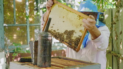 an elderly beekeeper working in an apiary near the hive 4k video