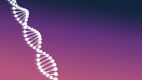 Video-Des-Sich-Drehenden-DNA-Strangs-Mit-Kopierraum-Auf-Violettem-Hintergrund