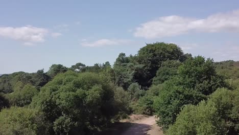 Drohnenaufnahmen-Beim-Aufstieg-über-Die-Baumgrenze-Einer-Wunderschönen-Ländlichen-Landschaft