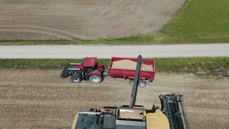 25 august 2024 penkule, latvia - aerial view of combine harvester at work. summer field work on the farm. top view of combine gathering corn or wheat crop.