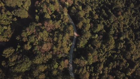 top view of countryside road passing through the green forrest and mountain