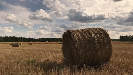 el lapso de tiempo revela la armonía artística de las balas de paja en el campo