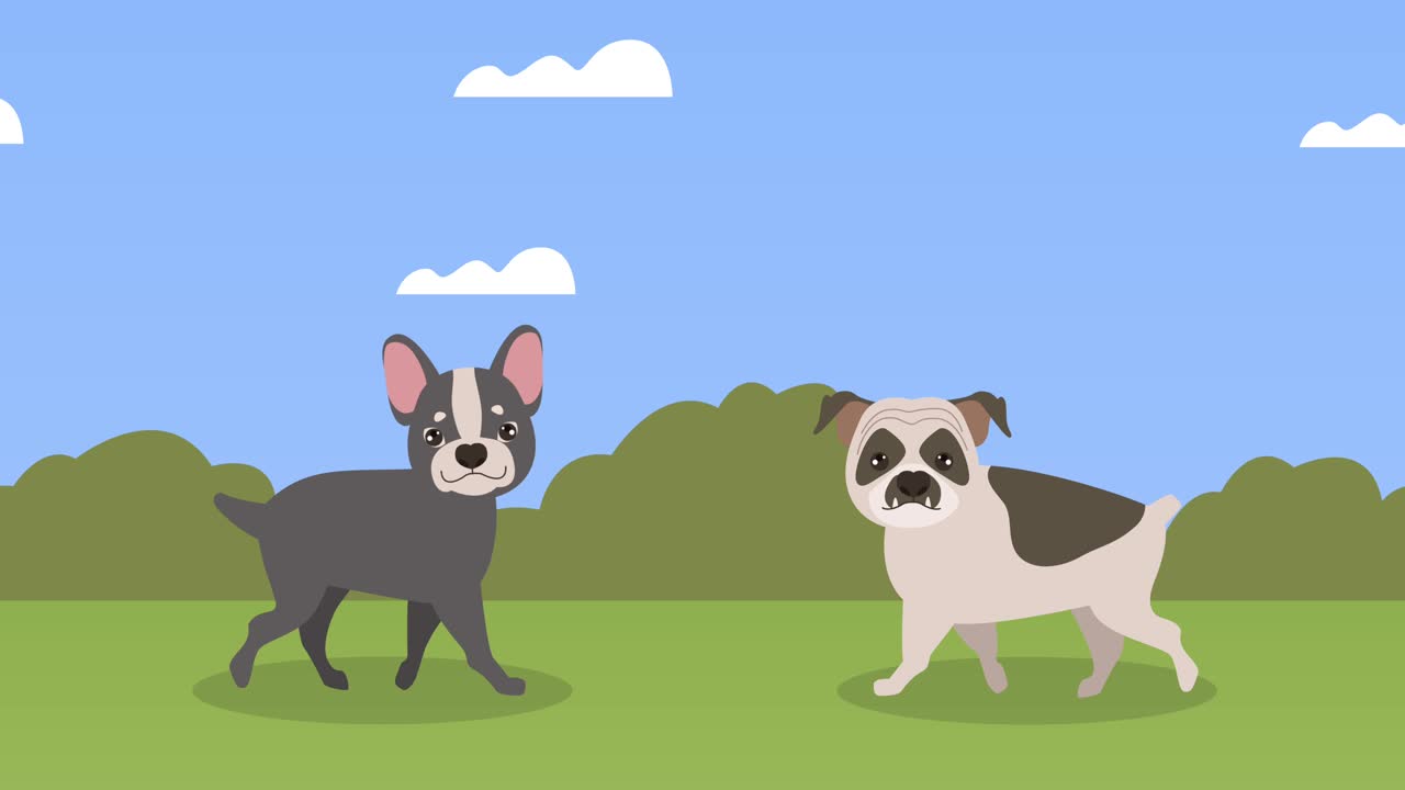 bulldogs mascots in the camp animation