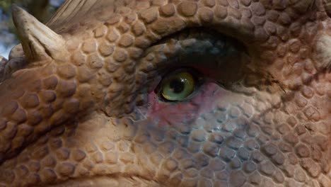 pachycephalosaurus dinosaur green eye close up, 4k, 60 fps