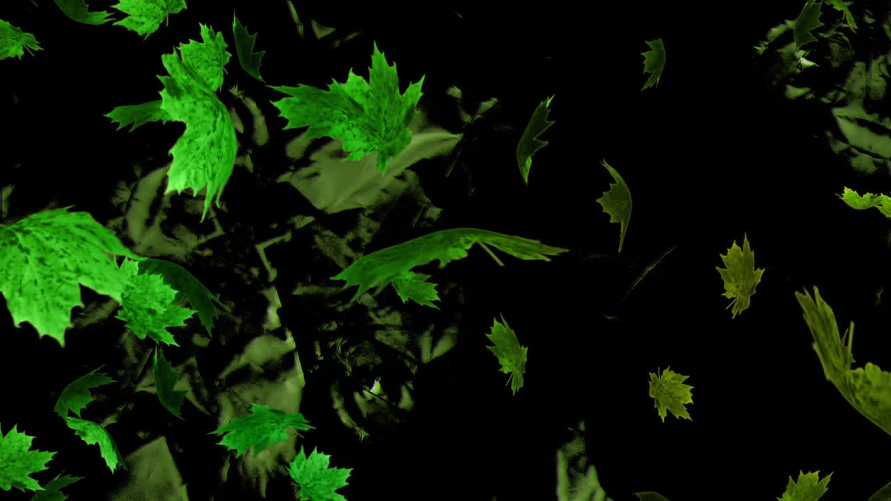 Animation of green leaves on black background