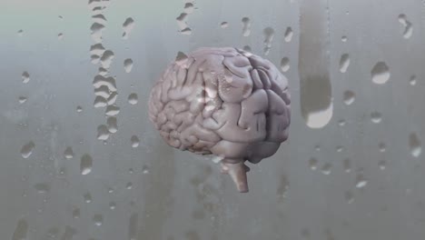 Wassertropfen-über-Einem-Glaseffekt-über-Dem-Symbol-Des-Menschlichen-Gehirns,-Das-Sich-Vor-Grauem-Hintergrund-Dreht