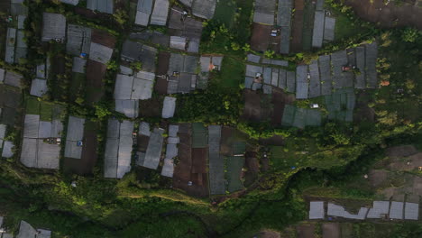 Aerial-view-at-sunrise-of-the-rice-fields-over-Sembalun,-Lombok