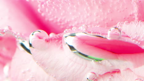 pink rose petals under water with bubbles