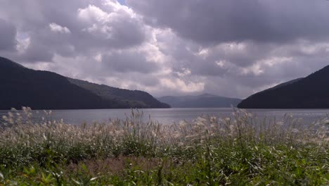 hermosa vista sobre el campo de hierba papa que crece frente al lago con hermosas nubes en el fondo