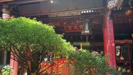 small asian trees in red courtyard of guan di buddhist temple, hoi an, vietnam