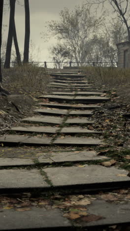 gloomy stone steps leading up through a misty forest