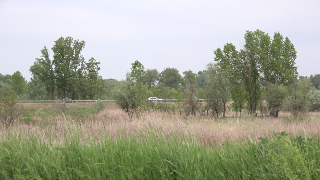 движение по шоссе через сельскую местность в пасмурный весенний день