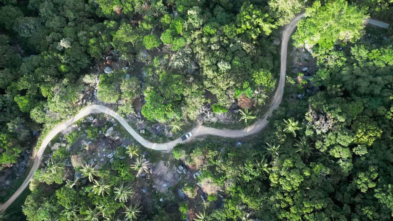 vista aérea de la selva verde montaña calle curva con coche conduciendo paisaje tropical