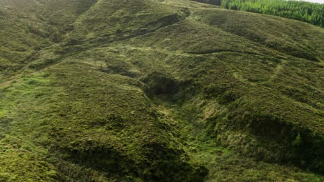 Drücken-Sie-Die-Antenne-Des-Schroffen-Hügels-Der-Weide-Mit-Dem-Hintergrund-Des-Kiefernwaldfleckens-Nach-Unten