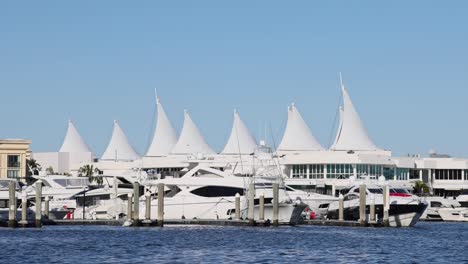 yachts and boats at gold coast marina