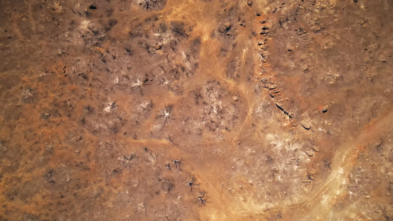 Aerial drone view of the consequences of fires in Greece. Burned vegetation, ash and coal