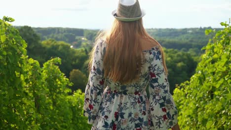 stunning hd footage of a young white caucasian woman with a knitted hat in a dress joyfully walking through vineyards and admiring the surroundings