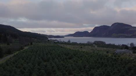Bewölkter-Himmel-über-Einer-Fichtenplantage-Mit-Ruhigem-See-Und-Bergen-Im-Hintergrund