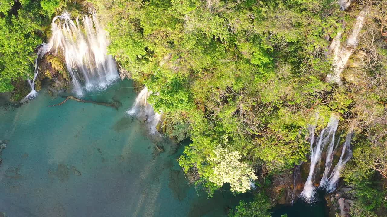 vista de drones de las cascadas de tamasopo rodeadas de árboles en san luis potosí, méxico