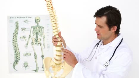 chiropractor explaining spine model to camera