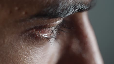 close-up of a person's eye and eyebrow