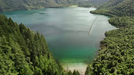 Small-secluded-beach-on-shore-of-blue-lake-Tikitapu-in-New-Zealand,-aerial