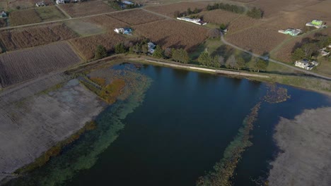 Aerial-orbit-over-a-small-wetland-with-algae-on-the-shore-surrounded-by-dry-crops,-Almoloya,-State-of-Mexico