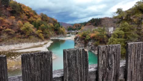 wooden planks of a fence overlooking the turquoise waters of sho river, surrounded by colorful autumn foliage in japan. push forward shot