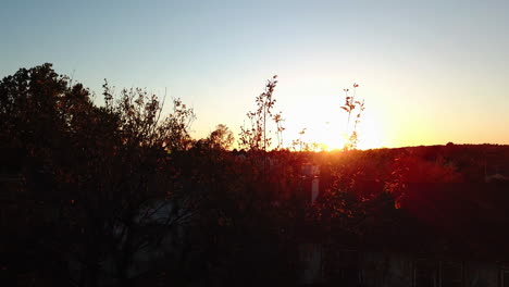 Slider-Shot-Of-Sunlight-Shining-Through-Trees-At-Sunset,-Tulsa