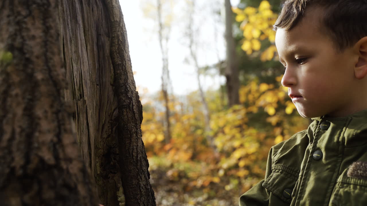 자연에서 놀고 있는 아이