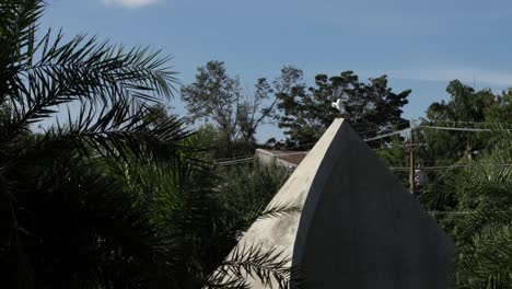 Long-shot-of-an-egret-scratching-its-feathers-standing-on-a-monument